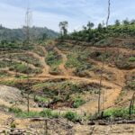 Bukit Pelampung, Kg. Pahi, Kuala Krai Bukit Pelampung, Kg. Pahi, Kuala Krai