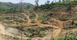 Bukit Pelampung, Kg. Pahi, Kuala Krai