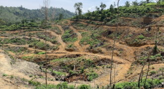 Bukit Pelampung, Kg. Pahi, Kuala Krai Bukit Pelampung, Kg. Pahi, Kuala Krai