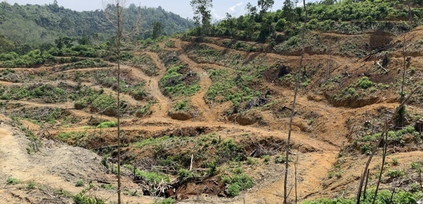 Bukit Pelampung, Kg. Pahi, Kuala Krai