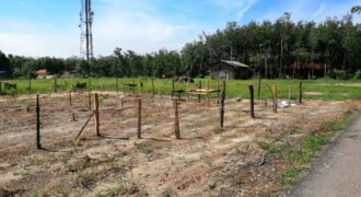 Gual Mesa Pasir Mas (Geran Individu) Gual Mesa Pasir Mas (Geran Individu)