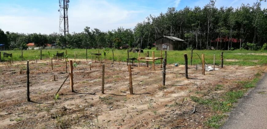 Gual Mesa Pasir Mas (Geran Individu)